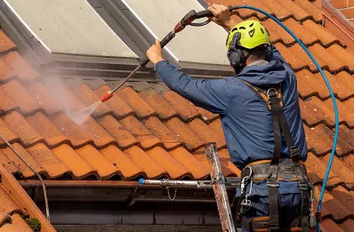 Démoussage et hydrofuge de toiture à Descartes